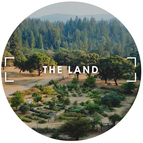 The Land – A Practice Infused Retreat Center In Northern California